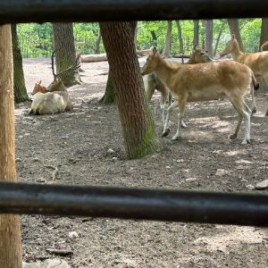 Zoopark Chomutov_12