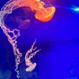 Zoopark Chomutov_9