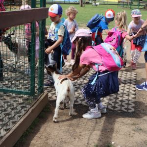 Celoškolkový výlet: ZOOPARK ZELČÍN