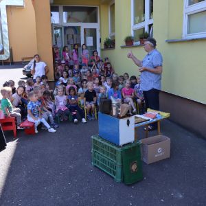 Včely _20