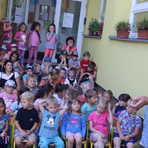 Včely _26