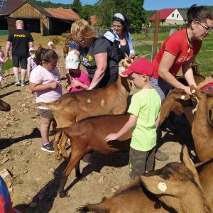 Školka v přírodě 2024- třetí den