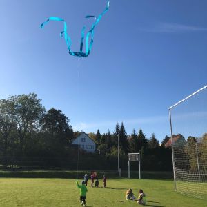 Draci _24