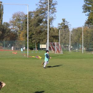 Draci _62