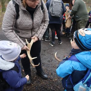 KOŤÁTKA, ZAJÍČCI, MOTÝLCI: U myslivců