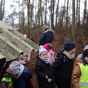 Lesní zvířata _45