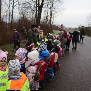 Lesní zvířata _53