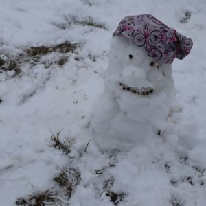 Zima_17