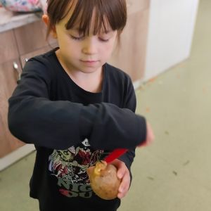 Zelenina _26
