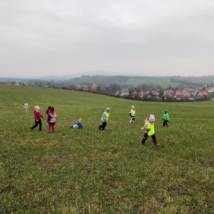 MOTÝLCI, ZAJÍČCI: výlet na kopec Křemín