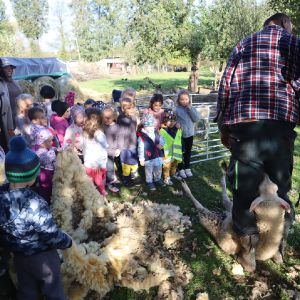Bača _40