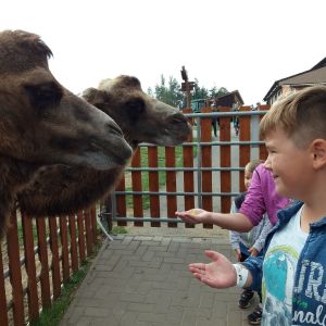 Sobehrdy_16