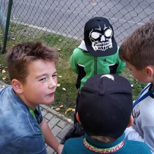 šipkovaná_11