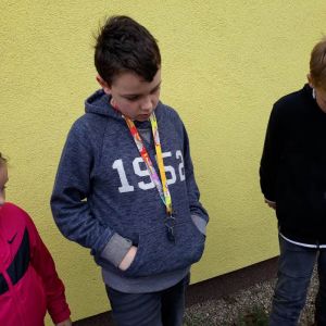 šipkovaná_14