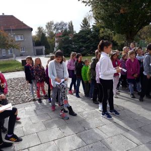 šipkovaná_5