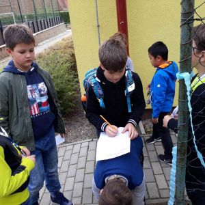 šipkovaná_6