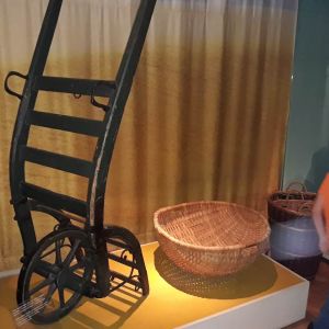 muzeum_50