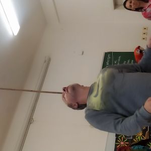 papoušci_17