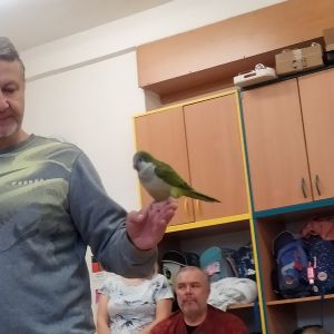Celodružinová akce - papoušci v ŠD