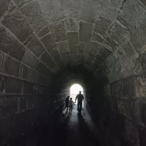 rybník_55