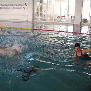 Plavecké závody - O pohár ředitele školy