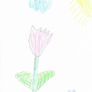 tulipán od Magdalenky_1